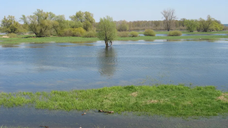 Rubrik_Wasser___Meere_c._F._Schoene__2_
